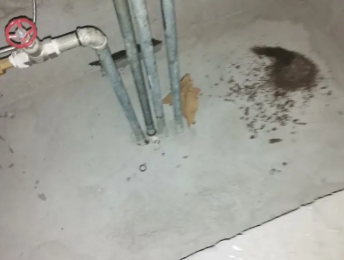 青云谱卫生间测漏水价格明细