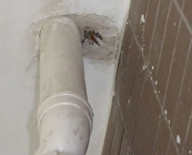 青云谱漏水检测哪家好